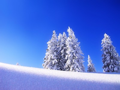   Snow Wallpapers Wallpapers
