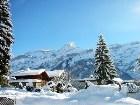 фото - Wallpapers - Snow Wallpapers