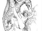  -  - Erotic Fantasy Art of Esteban Maroto