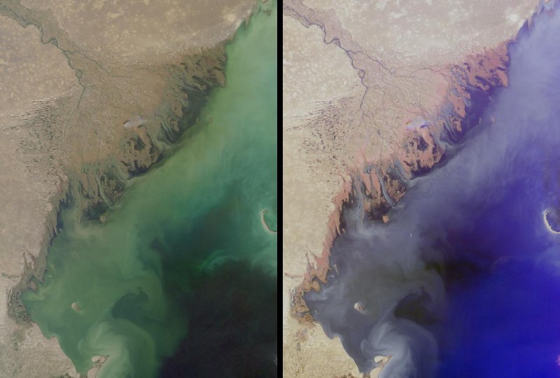   Earth from space\   Delta of Volga,Caspian Sea