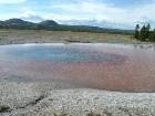 - The puddle of boilin ... - ,  - Trip to Yellowstone