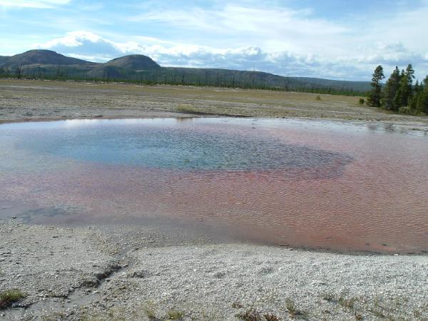   ,  - Trip to Yellowstone The puddle of boiling water