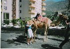 ���������� ������ ������ - Turkey(2004)