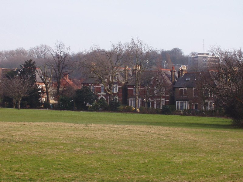 ���������� ������ ������ - London Nature