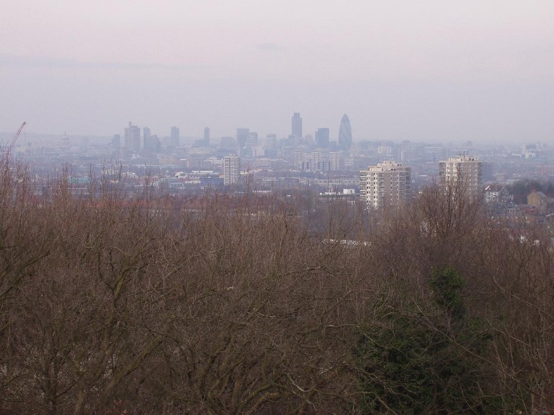���������� ������ ������ - London Nature