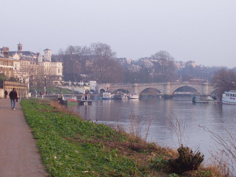 ���������� ������ ������ - London Nature