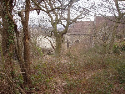 ���������� ������ ������ - London Nature