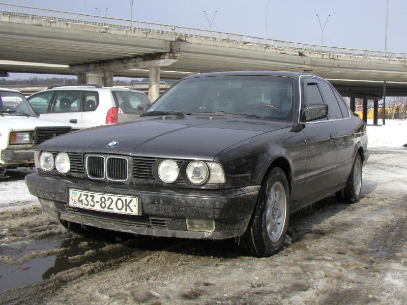   BMW-520i (E34) M50, 1991 Dan