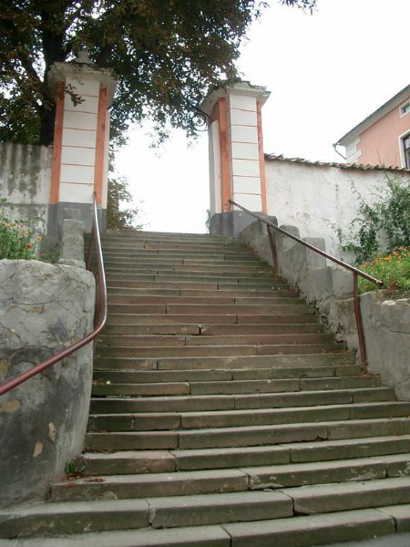    -  24-27.08.2006 / .  .