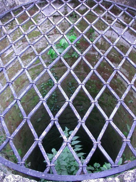    -  24-27.08.2006 / .  . 