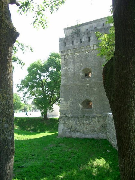    -  24-27.08.2006 / .  .  