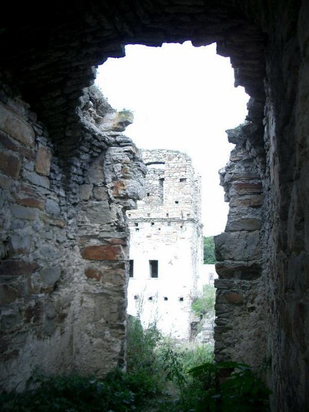    -  24-27.08.2006 / .  . -  