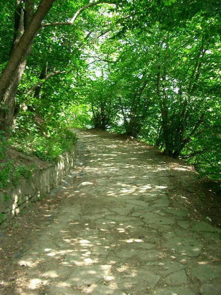    -  24-27.08.2006 / .  .   