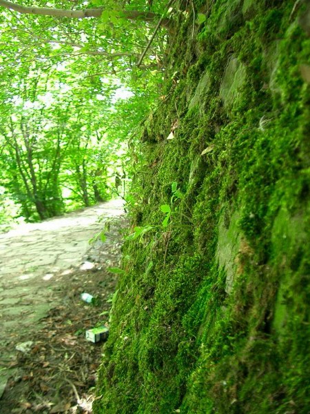    -  24-27.08.2006 / .  .   