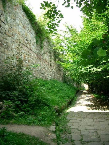    -  24-27.08.2006 / .  .   