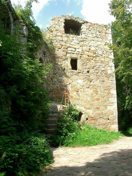    -  24-27.08.2006 / .  .  