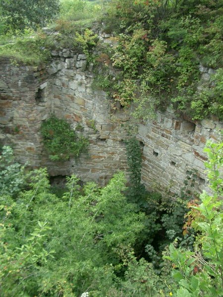    -  24-27.08.2006 / .  .  