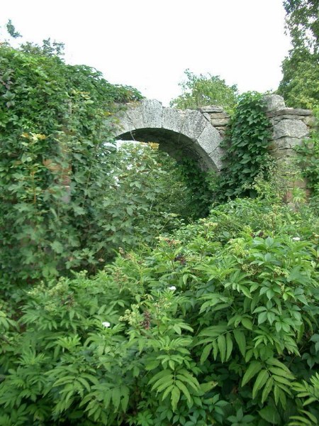    -  24-27.08.2006 / .  .  