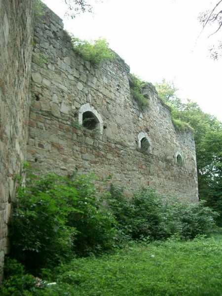    -  24-27.08.2006 / .  .  