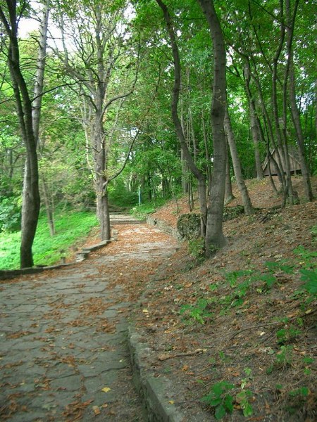    -  24-27.08.2006 / .  .    