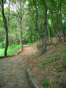    -  24-27.08.2006 / .  .    