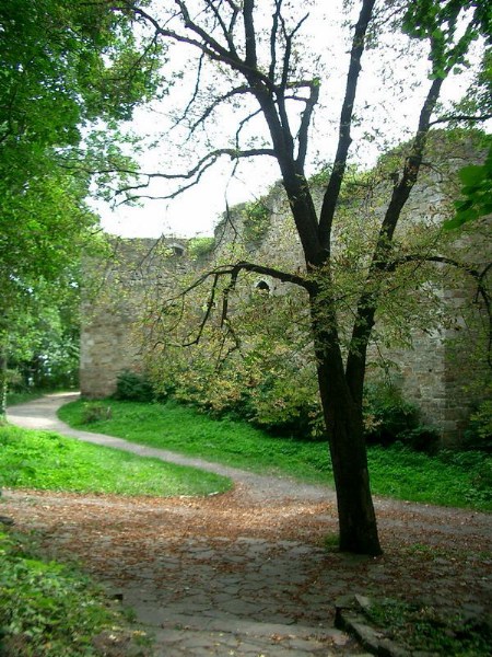    -  24-27.08.2006 / .  .    