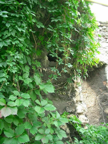    -  24-27.08.2006 / .  .