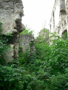    -  24-27.08.2006 / .  .  