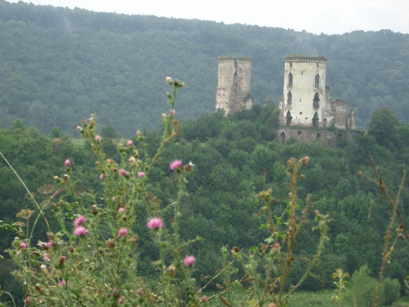    -  24-27.08.2006 / .  .