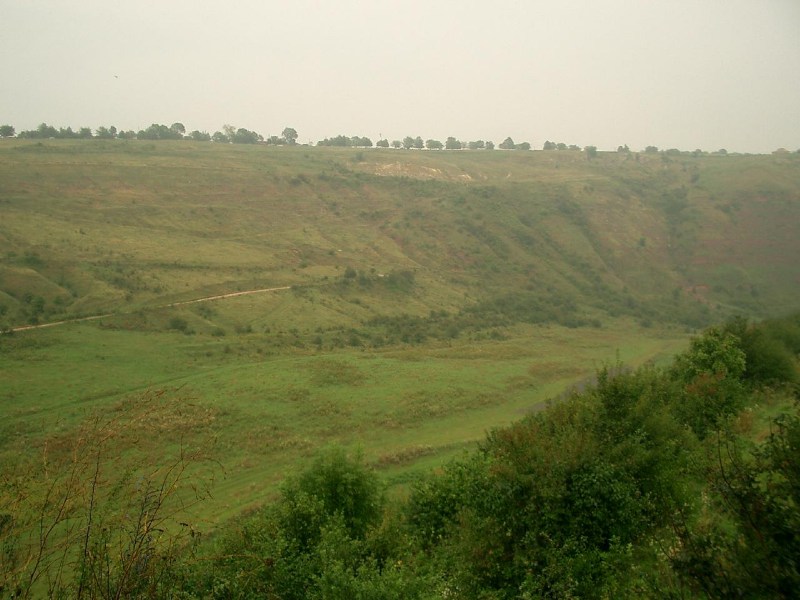    -  24-27.08.2006 / .  .