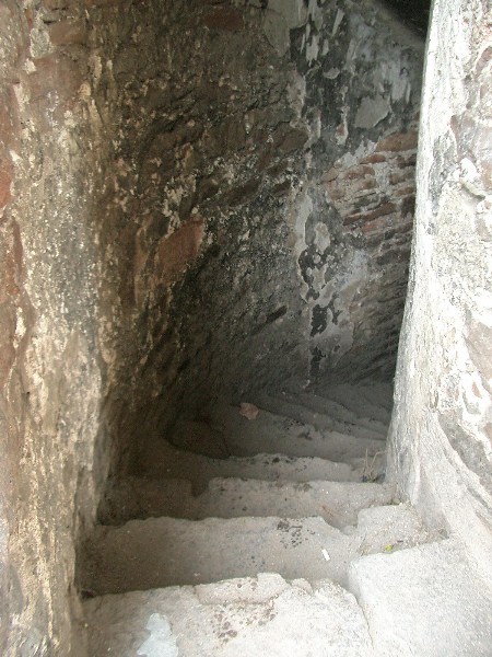    -  24-27.08.2006 / .  .