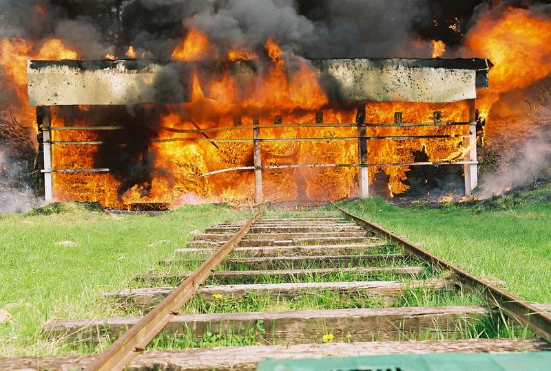          2006 ( , ,  , 08.05.2006)