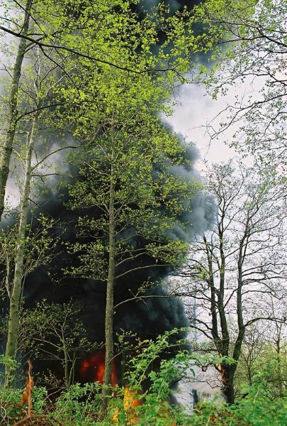          2006 ( , ,  , 08.05.2006)