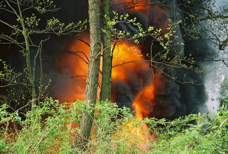          2006 ( , ,  , 08.05.2006)