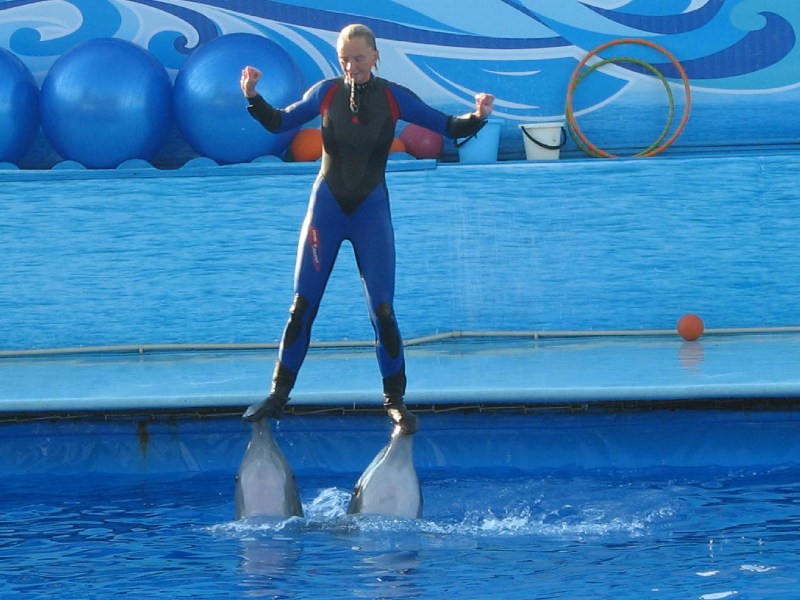   Krym-2006 Sevastopol