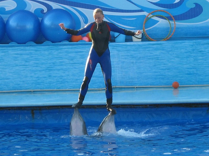   Krym-2006 Sevastopol