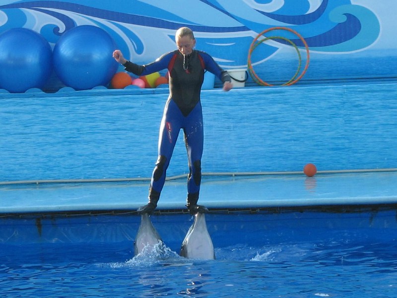   Krym-2006 Sevastopol