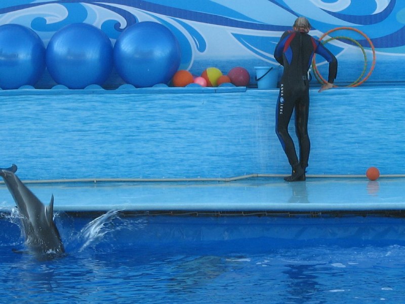   Krym-2006 Sevastopol