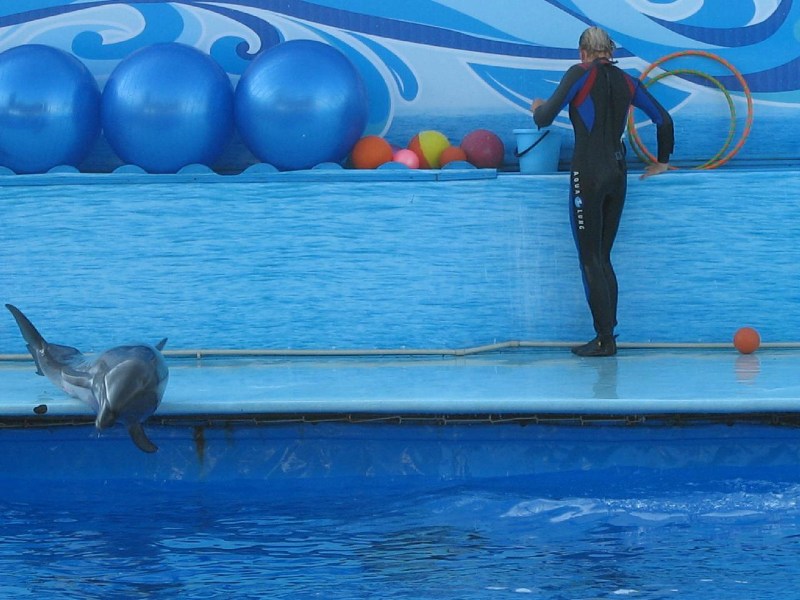   Krym-2006 Sevastopol