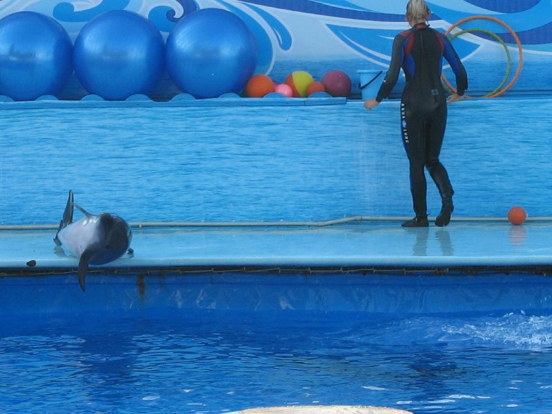   Krym-2006 Sevastopol