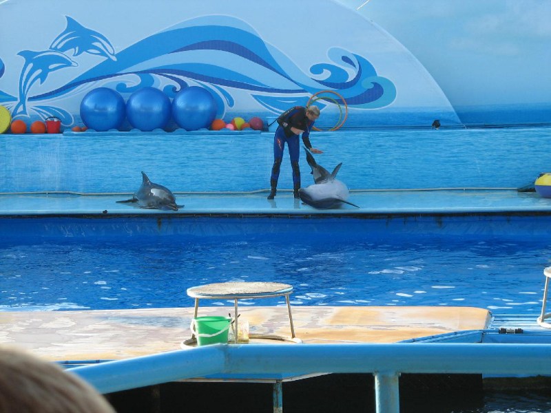   Krym-2006 Sevastopol