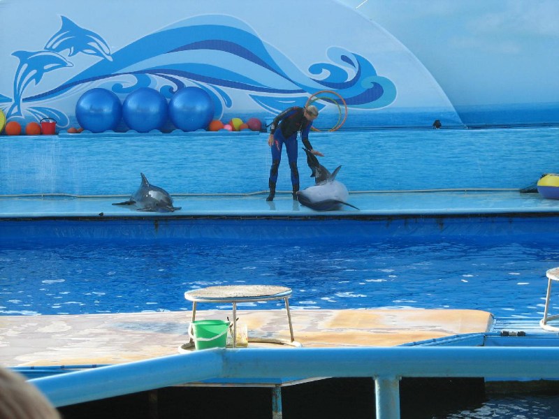   Krym-2006 Sevastopol