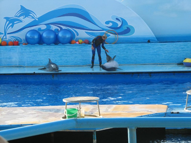   Krym-2006 Sevastopol