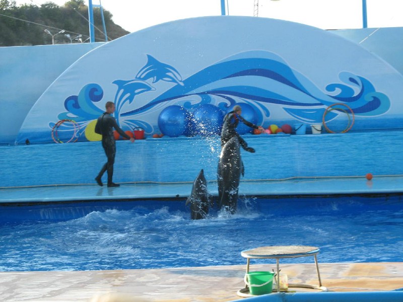   Krym-2006 Sevastopol