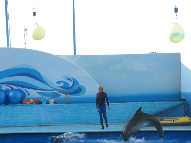   Krym-2006 Sevastopol