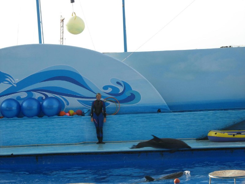   Krym-2006 Sevastopol