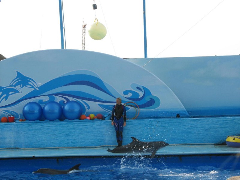   Krym-2006 Sevastopol