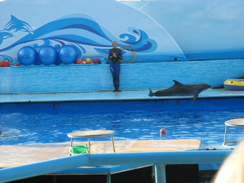   Krym-2006 Sevastopol