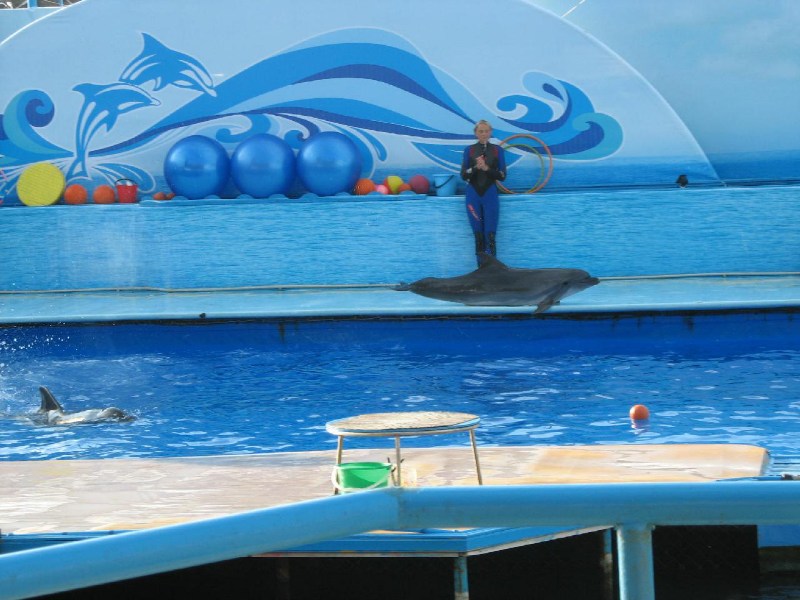   Krym-2006 Sevastopol