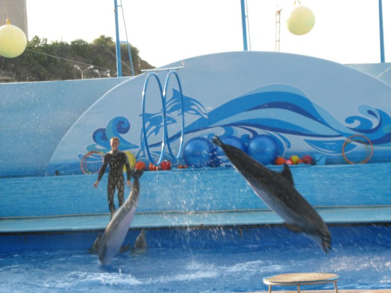   Krym-2006 Sevastopol